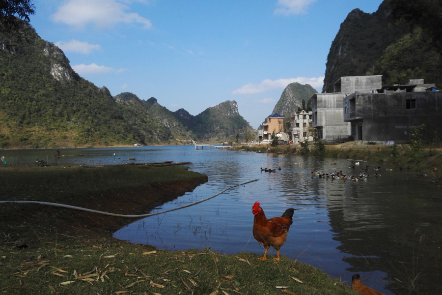 碧波荡漾，峰峦垂悬，靖西市和德保县共同的骄傲，念诺湖（念诺水库）风光。 - 靖西市·靖西网