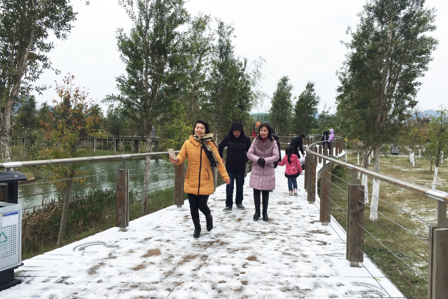 靖西2016年元月廿四下了第一场雪：飘雪兆吉岁，凝华报祥年。 - 靖西市·靖西网