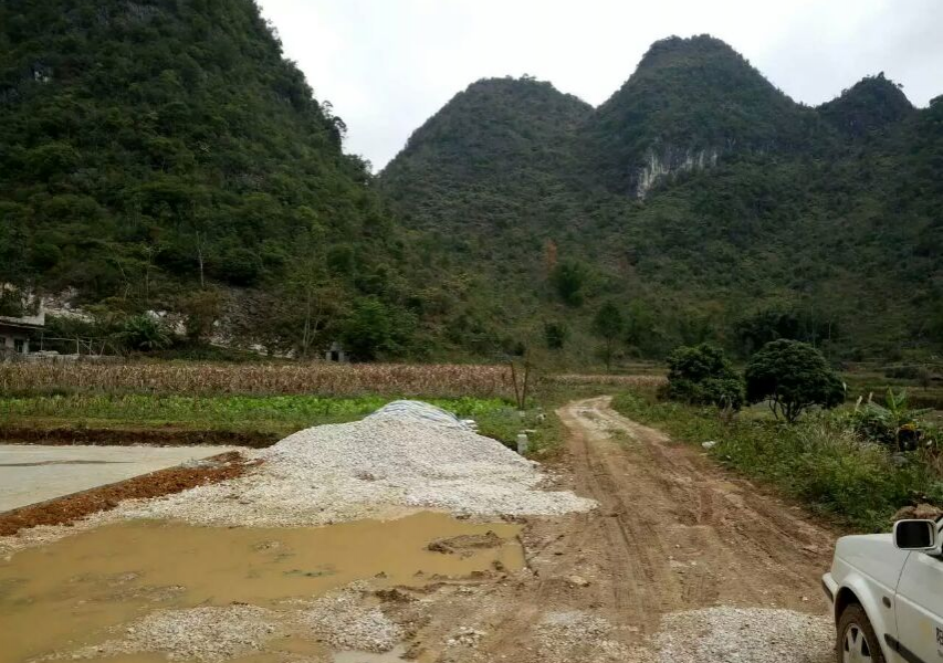 家乡的乡土气息还是这么熟悉 - 靖西市·靖西网