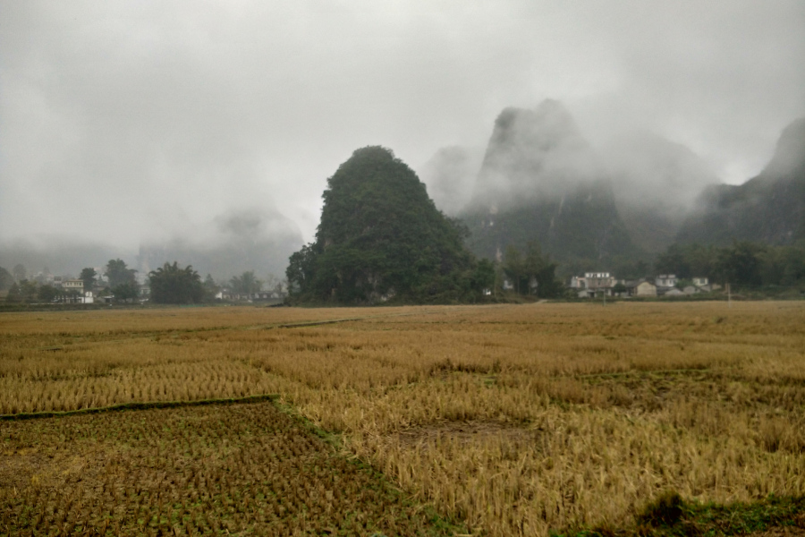 烟雨蒙蒙，画里乡村 - 靖西市·靖西网