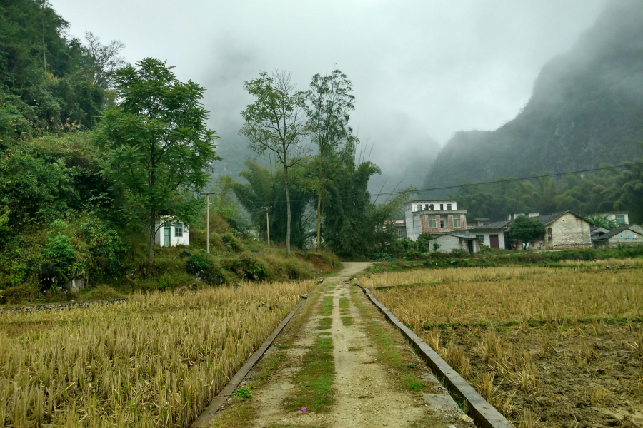 烟雨蒙蒙，画里乡村 - 靖西市·靖西网