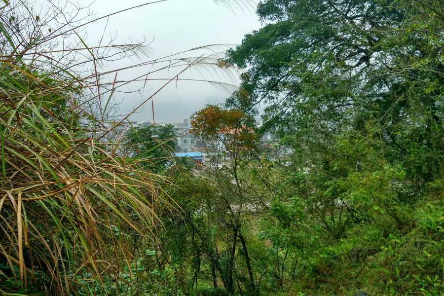 烟雨蒙蒙，画里乡村 - 靖西市·靖西网