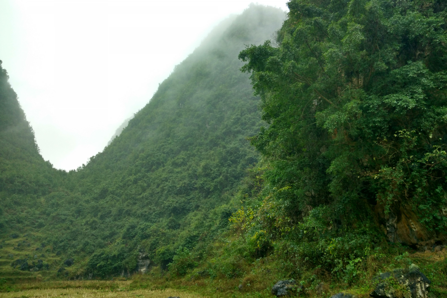 烟雨蒙蒙，画里乡村 - 靖西市·靖西网