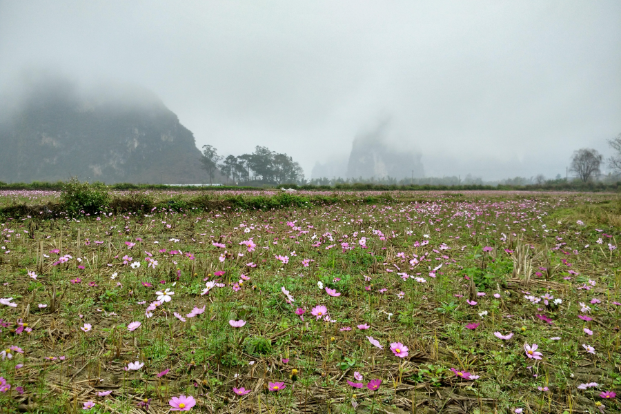 烟雨蒙蒙，画里乡村 - 靖西市·靖西网