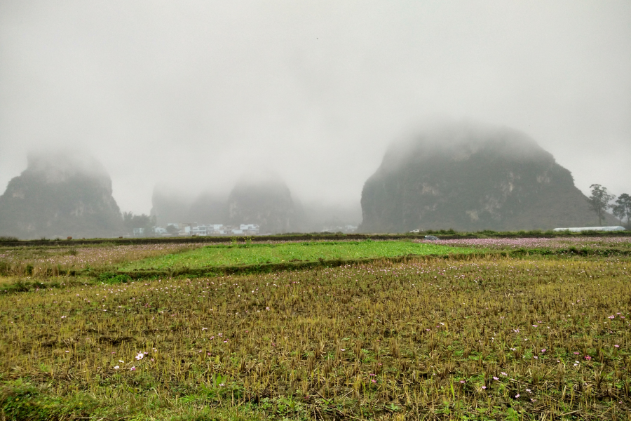 烟雨蒙蒙，画里乡村 - 靖西市·靖西网