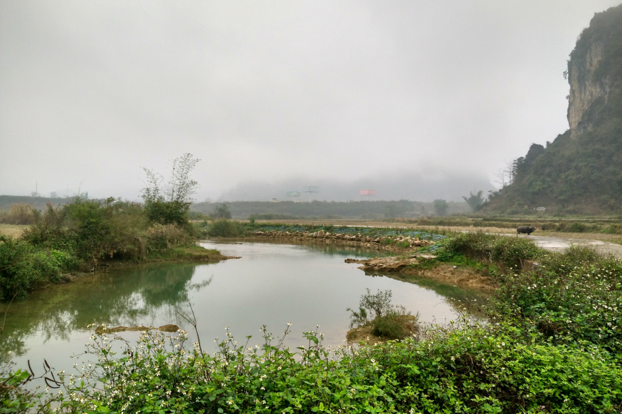 烟雨蒙蒙，画里乡村 - 靖西市·靖西网