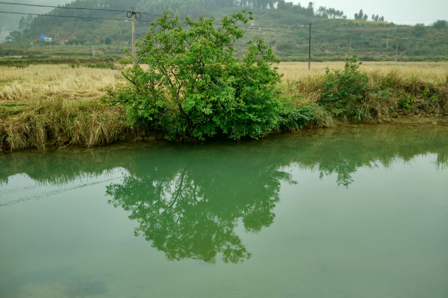 烟雨蒙蒙，画里乡村 - 靖西市·靖西网