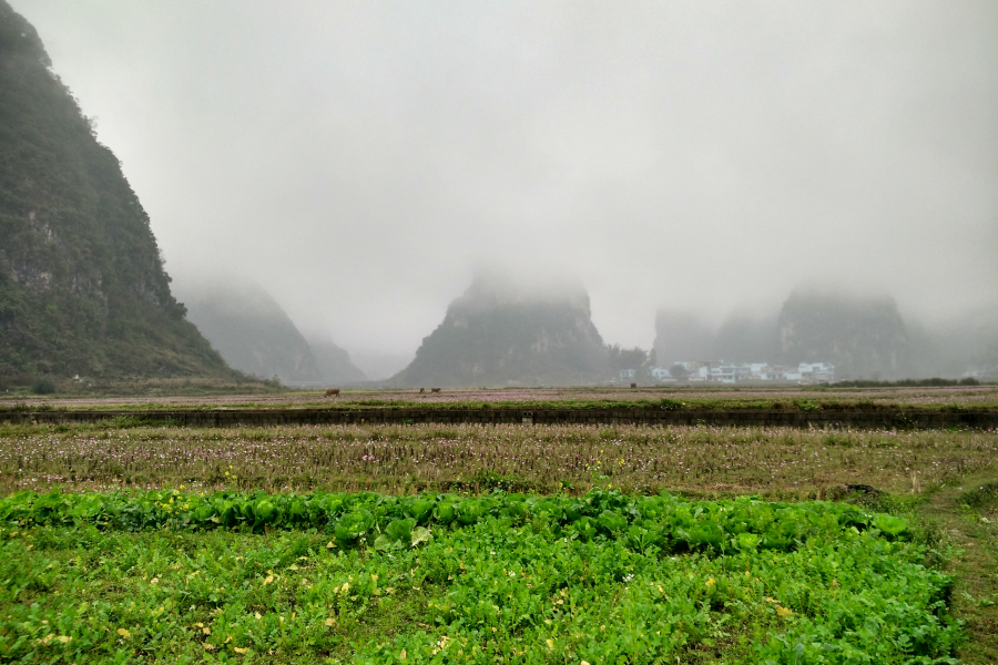 烟雨蒙蒙，画里乡村 - 靖西市·靖西网