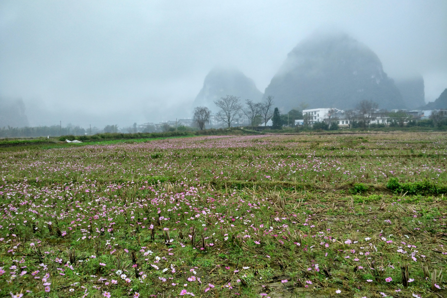 烟雨蒙蒙，画里乡村 - 靖西市·靖西网