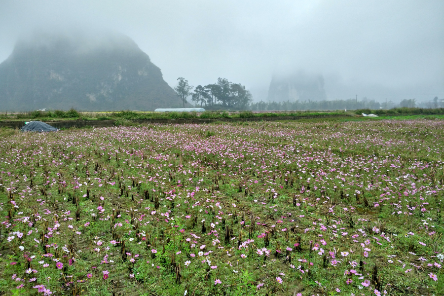 烟雨蒙蒙，画里乡村 - 靖西市·靖西网