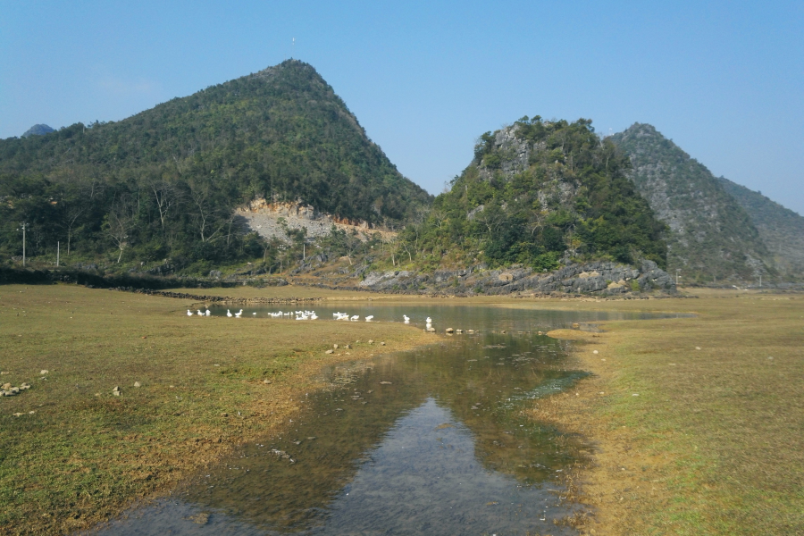 小山小池小草原，靖西录峒镇坐屯风光。 - 靖西市·靖西网