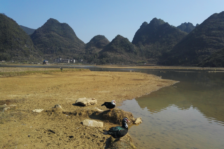 果乐乡连境湖，靖西市唯一地图上标注的天然湖。 - 靖西市·靖西网