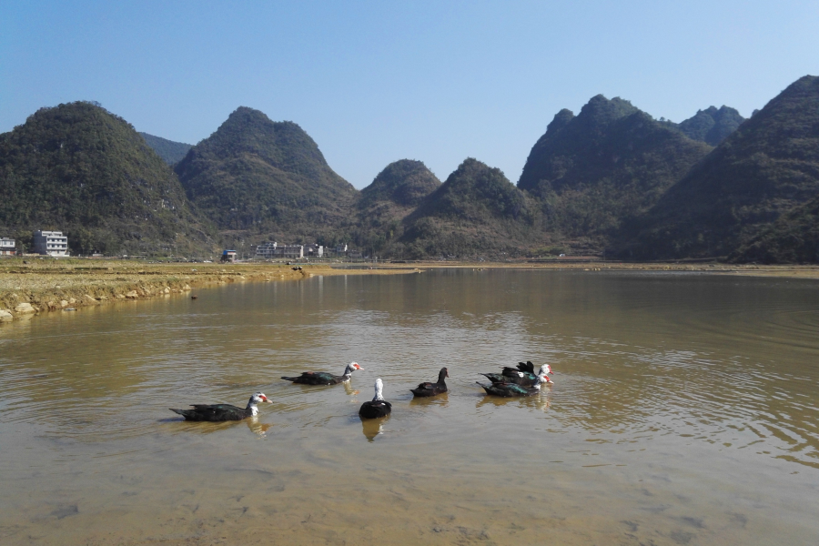 果乐乡连境湖，靖西市唯一地图上标注的天然湖。 - 靖西市·靖西网