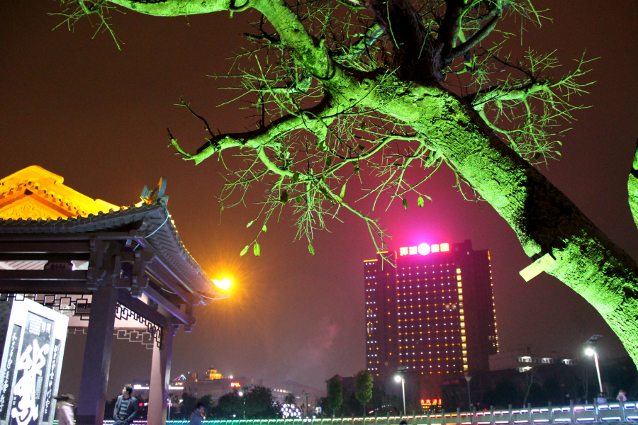 也发鹅字亭夜景 - 靖西市·靖西网