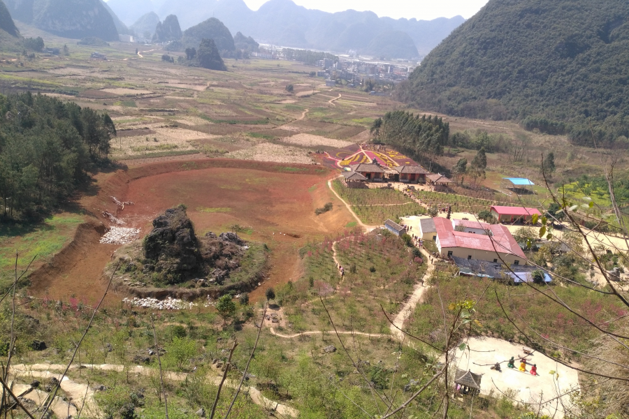 三八节：靖西桃花谷碰碰桃花运，收获满满的！ - 靖西市·靖西网