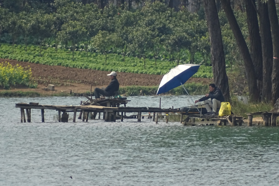 今天龙潭垂钓者 - 靖西市·靖西网