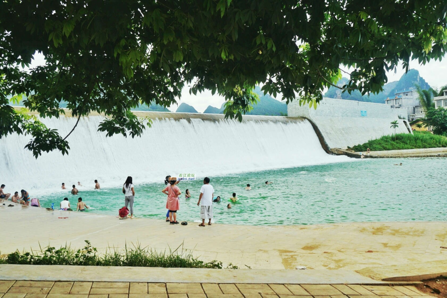 看大家都晒“家乡花”，我也晒一下“异乡花” - 靖西市·靖西网