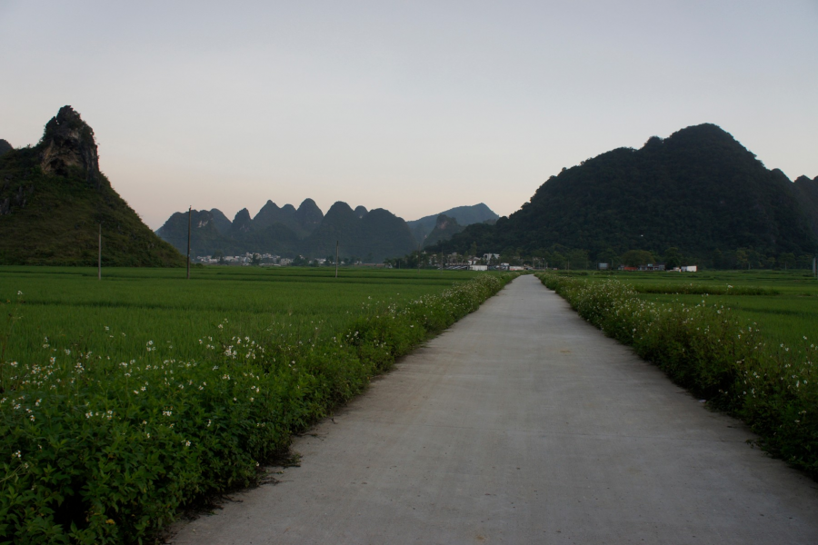 化峒镇三友村田园美景 - 靖西市·靖西网