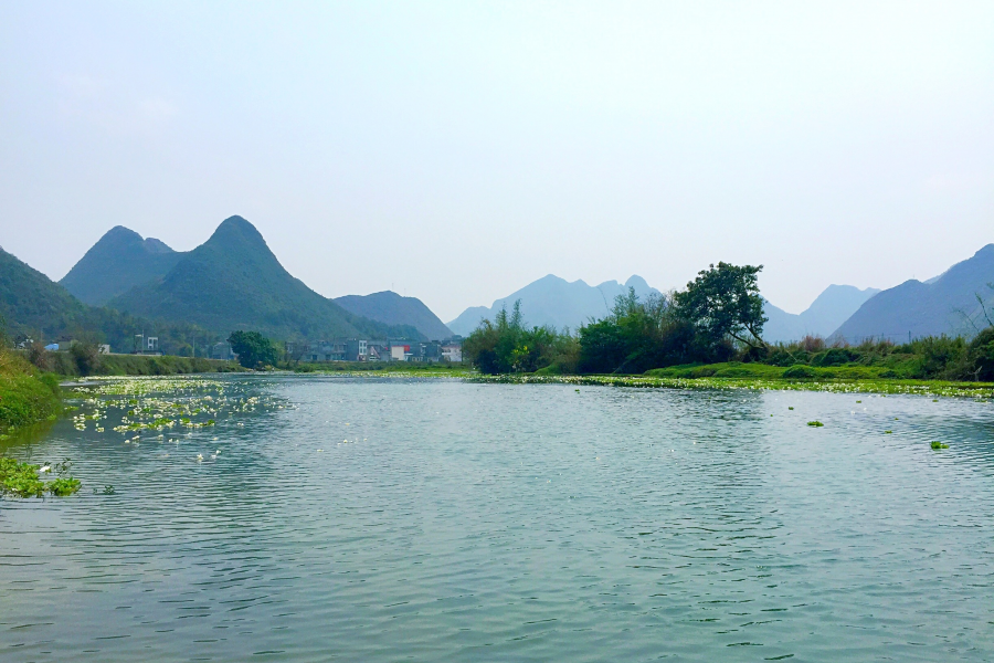 几处桃红柳叶青，数点春山满翠微。三月景，宜醉不宜醒 - 靖西市·靖西网