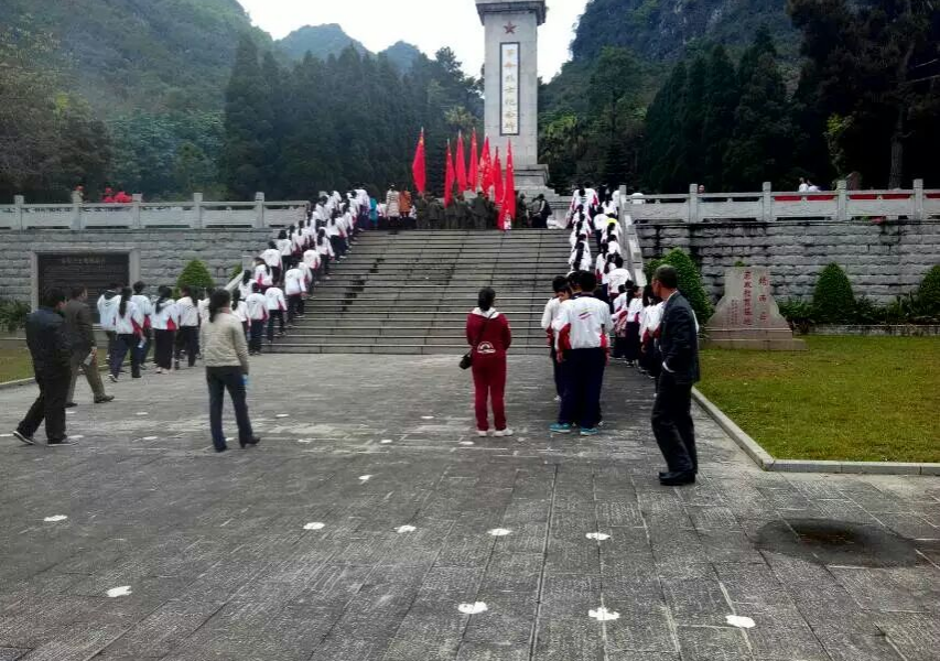 近日全国各地退役老兵及烈属到靖西烈士陵园扫墓，纪念革命先烈永垂不朽！ - 靖西市·靖西网