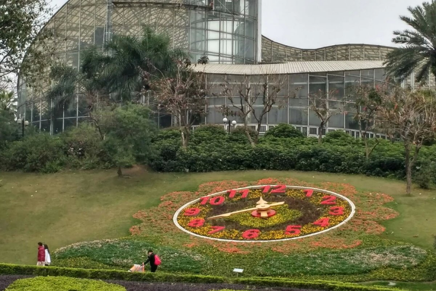 看大家都晒“家乡花”，我也晒一下“异乡花” - 靖西市·靖西网