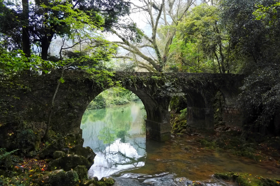 靖西二郎风光之古树守石桥。 - 靖西市·靖西网