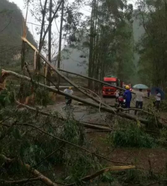 回顾靖西那场具有灾害性的暴风雨夹冰雹残局 - 靖西市·靖西网