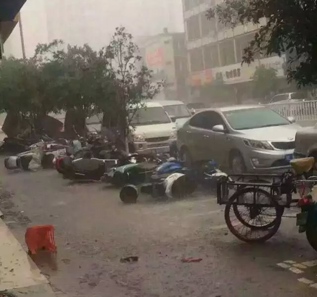 回顾靖西那场具有灾害性的暴风雨夹冰雹残局 - 靖西市·靖西网