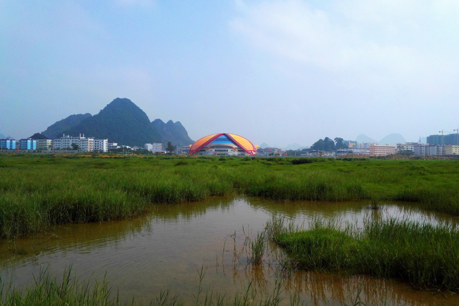 绿色湿地远处的绣球体育馆。 - 靖西市·靖西网