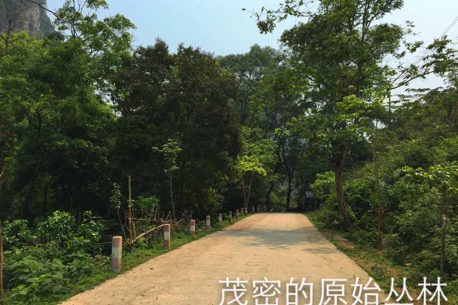 一个自然原始生态保护完好的小山村 - 靖西市·靖西网