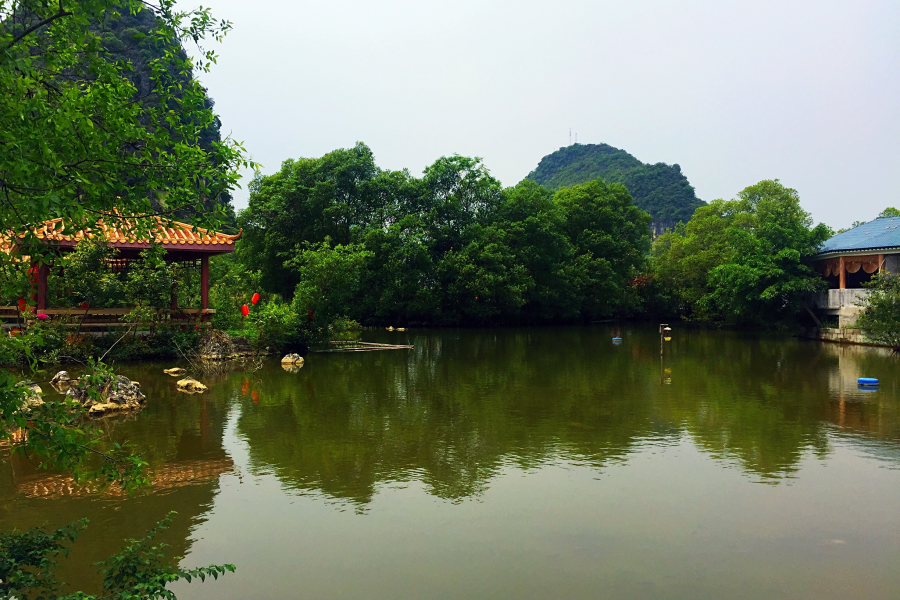 美丽靖西：靖西田园美如画，风物随春天潇洒。山青水碧连天外 - 靖西市·靖西网