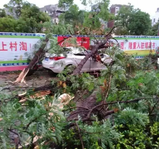 傍晚一场暴风雨夹冰雹“袭击”靖西，整个市区都被打得好“狼狈” - 靖西市·靖西网