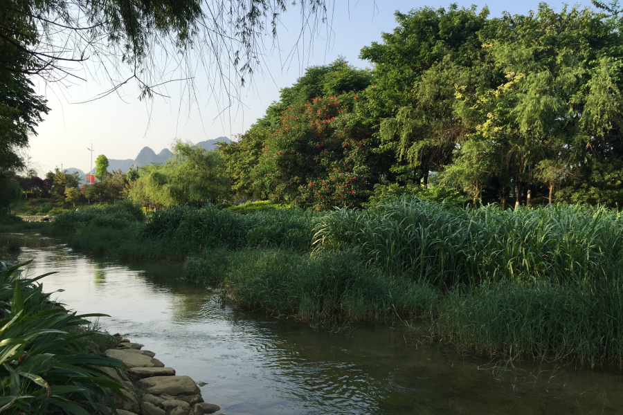 斜阳下的龙潭河风光：流水清清悄然去，夏木荫荫正可人。 - 靖西市·靖西网