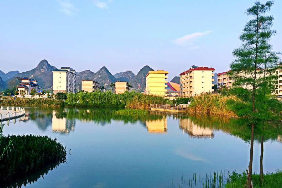 斜阳下的龙潭河风光：流水清清悄然去，夏木荫荫正可人。 - 靖西市·靖西网