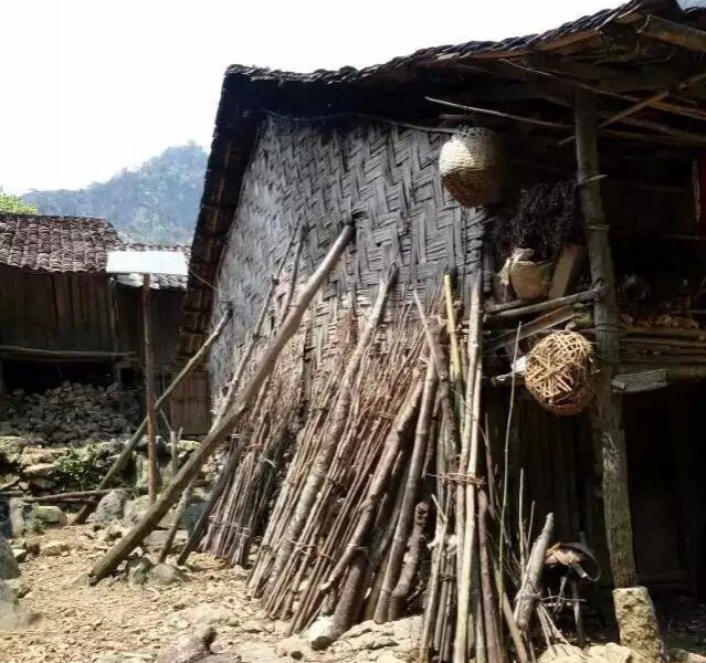 现在的乡下是多么的寂静 - 靖西市·靖西网