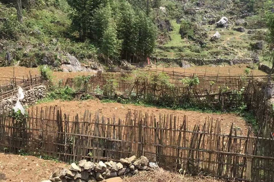 现在的乡下是多么的寂静 - 靖西市·靖西网