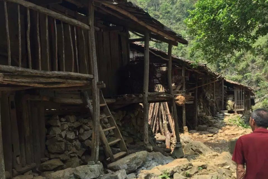 现在的乡下是多么的寂静 - 靖西市·靖西网