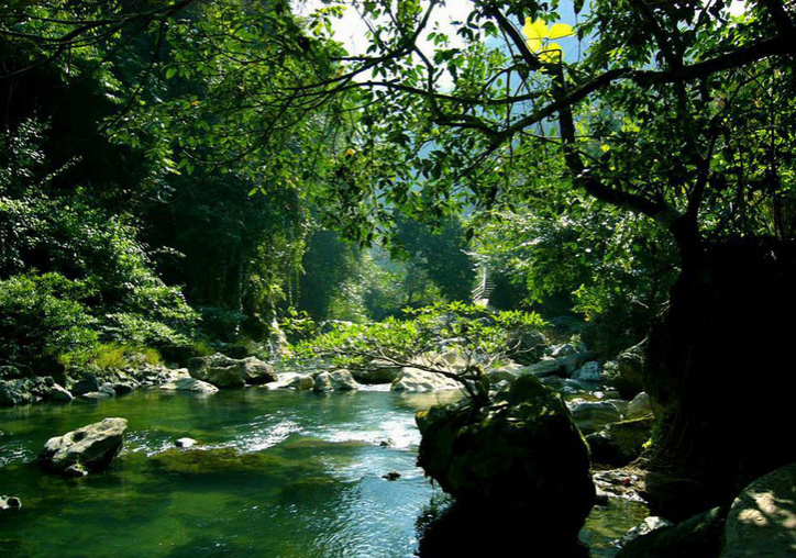 靖西旅游景点回顾，那些美得让你窒息美景！ - 靖西市·靖西网