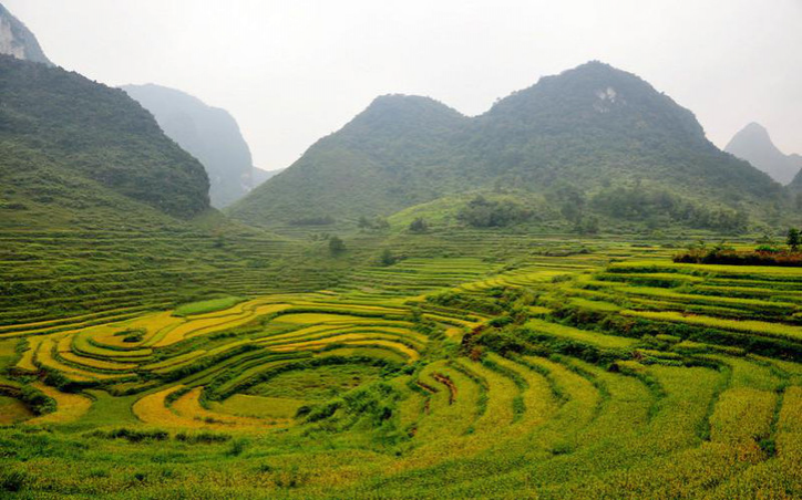 靖西旅游景点回顾，那些美得让你窒息美景！ - 靖西市·靖西网