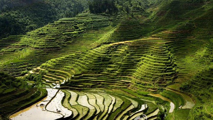 靖西旅游景点回顾，那些美得让你窒息美景！ - 靖西市·靖西网