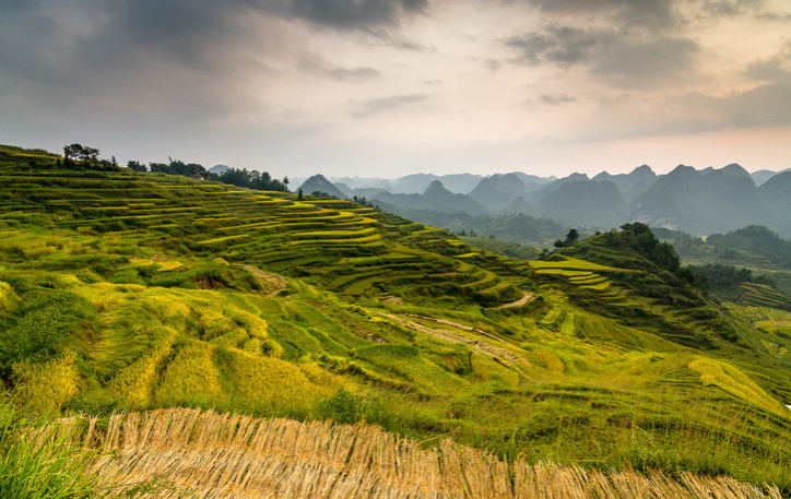 靖西旅游景点回顾，那些美得让你窒息美景！ - 靖西市·靖西网