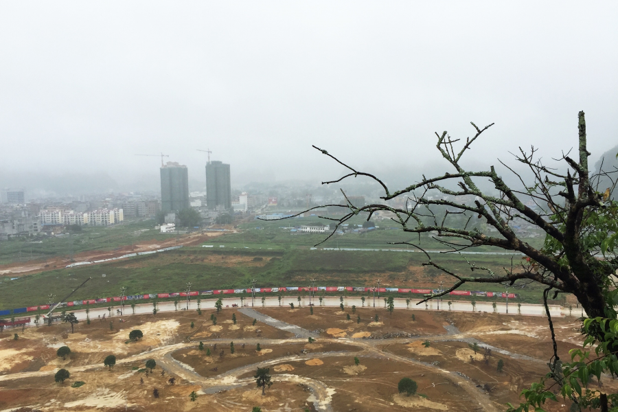 小城天空雾迷蒙，燕子翻飞细雨中。 - 靖西市·靖西网