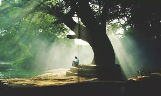 原来广西这么美好！这么动人！你知道吗？ - 靖西市·靖西网