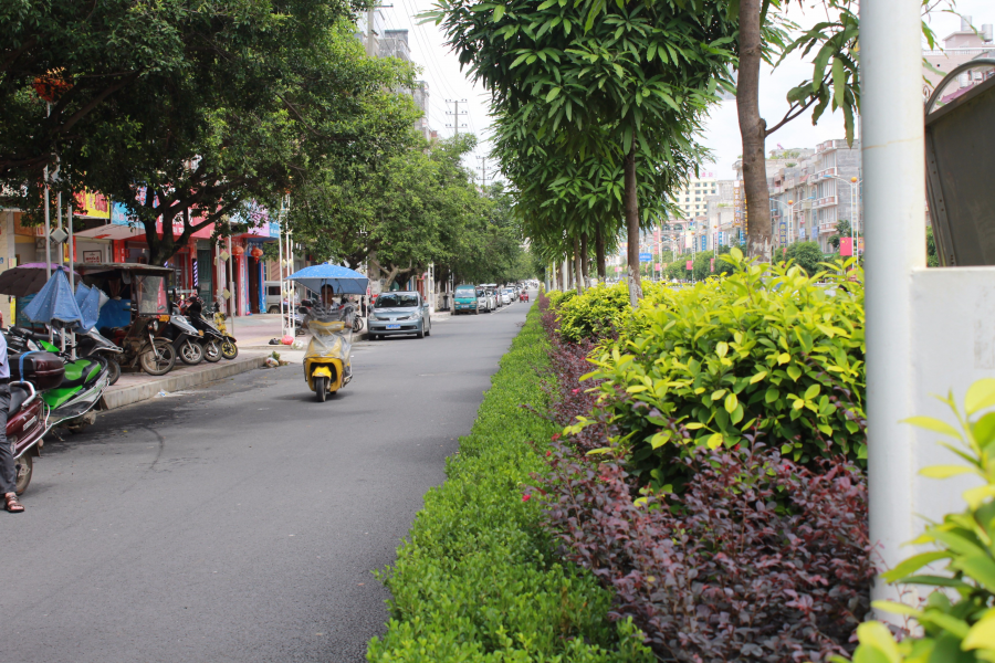 最新拍的靖西市绣球大道 - 靖西市·靖西网
