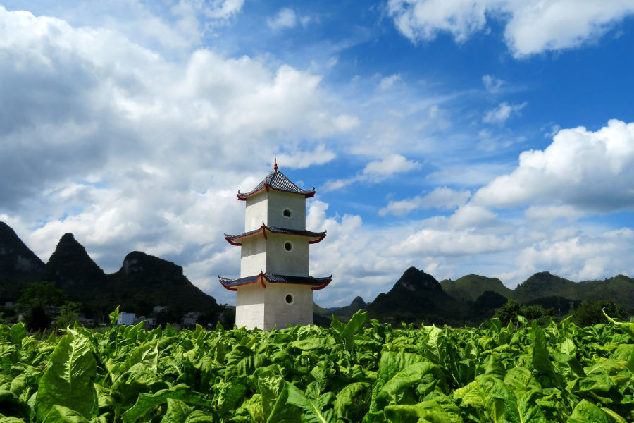 美景需要多介绍，再拍鲁利边江屯白塔。 - 靖西市·靖西网