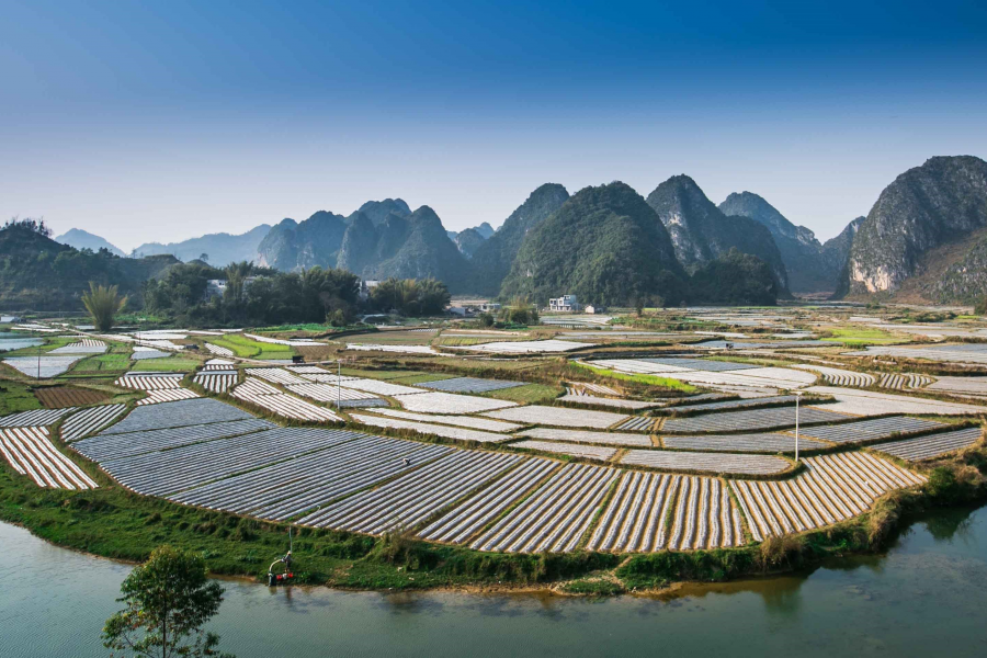 发现靖西之美，海量图片，很多视角都很新鲜！ - 靖西市·靖西网