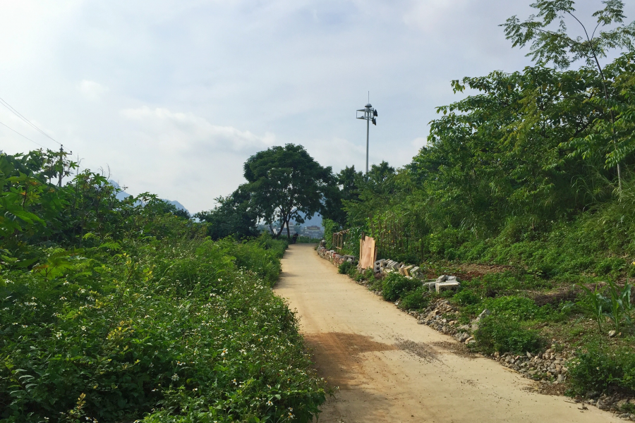 草青树绿不觉春已去，蝉鸣饶林方知夏已深。 - 靖西市·靖西网