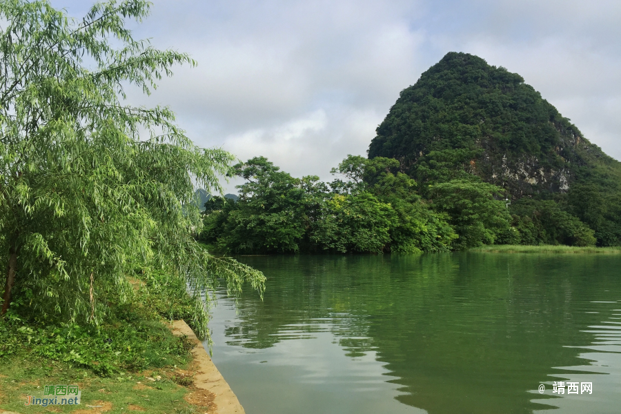 草青树绿不觉春已去，蝉鸣饶林方知夏已深。 - 靖西市·靖西网