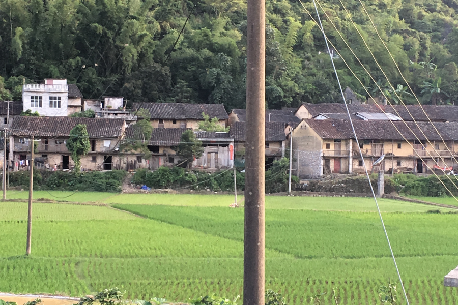 广西靖西市新靖镇金龙村 - 靖西市·靖西网