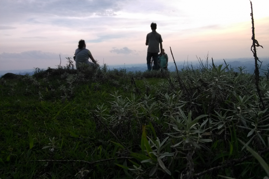 发现靖西之美，海量图片，很多视角都很新鲜！ - 靖西市·靖西网